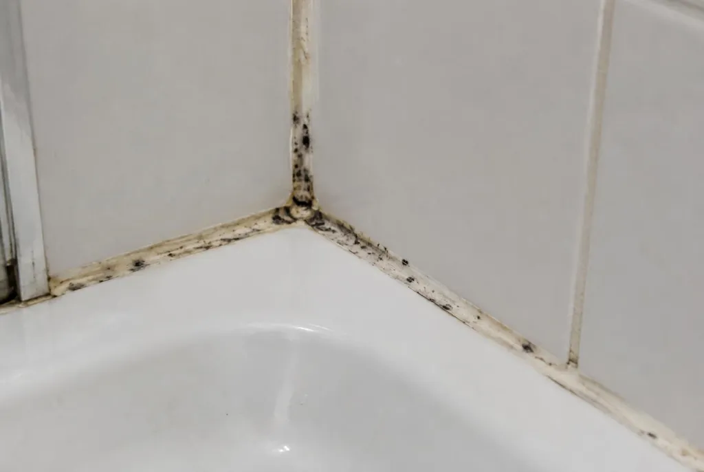 Kitbedrijf Ridderkerk – beschimmelde kitranden